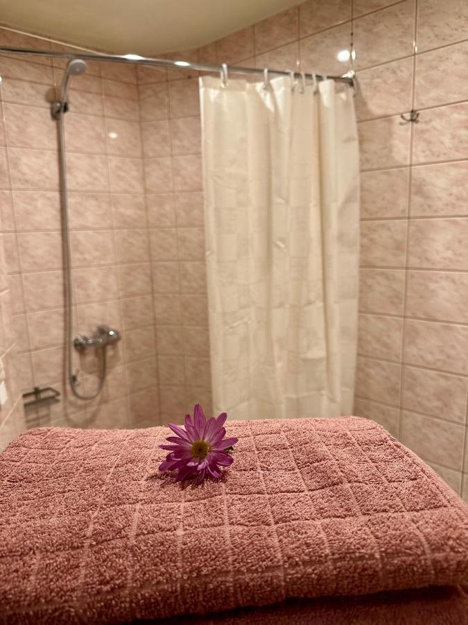 Center Of City Apartments, Bus Station 1Min, Airport 5 Min Талин Екстериор снимка